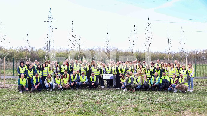 Posađeno 50 stabala za 50 godina 